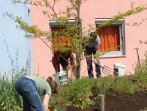 Grüner Tag 17_29