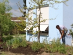 Grüner Tag 17_30