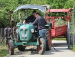 Grüner Tag 17_39