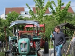 Grüner Tag 17_40