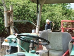 Grüner Tag 17_46