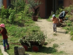 Grüner Tag 17_51