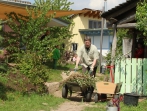 Grüner Tag 17_56
