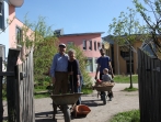 Grüner Tag