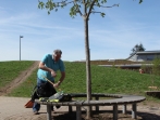 Grüner Tag