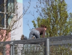 Grüner Tag
