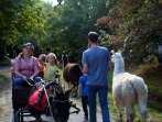 Hagsfelder Kerwe 2018_01