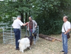 Hagsfelderkerwe-19_69
