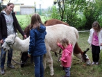 Hagsfelder Kerwe 2017_25