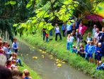 Hagsfelder Kerwe 2017_39