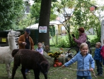 Hagsfelder Kerwe 2017_50
