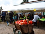 Sonnenhoffest 2017_23