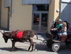 Tag der offenen Tür 2018_15